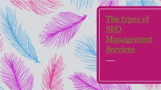 Types of SEO Services and SEO Mangement Singapore