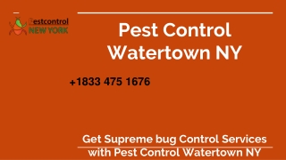 Pest Control Watertown NY