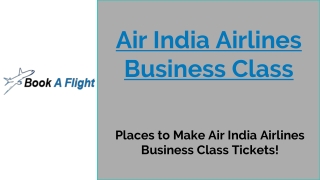 Air India Airlines Business Class