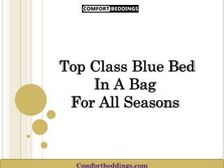 Top Class Blue Bed In A Bag For All Seasons