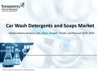 Car Wash Detergents and Soaps Market: Global Industry Analysis, Size, Trends, Growth, Trends, and Forecast 2020 - 2030