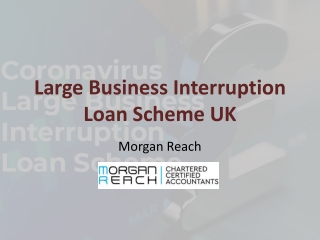 Key Features of The Loan Scheme UK