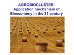 AGROBIOCLUSTER: Application mechanism of Bioeconomy in the 21 century