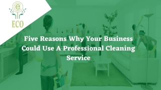 Five Reasons why your Business could use a Professional Cleaning | Ecofms