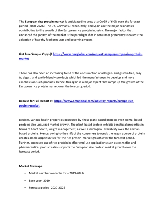 European Rice Protein Market Size, Segmentation, Share, Forecast, Analysis, Industry Report to 2020-2026