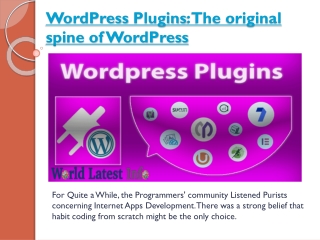 WordPress Plugins: The original spine of WordPress