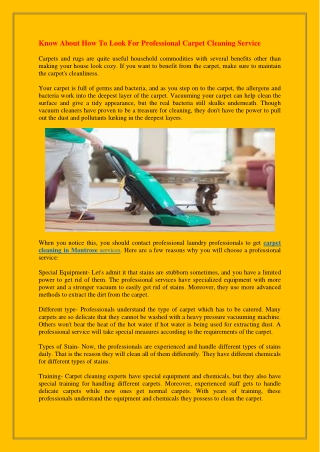 Know About How To Look For Professional Carpet Cleaning Service
