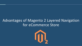 Advantages of Magento 2 Layered Navigation for eCommerce Store