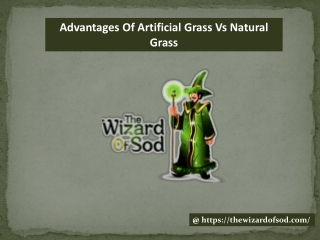 Advantages Of Artificial Grass Vs Natural Grass