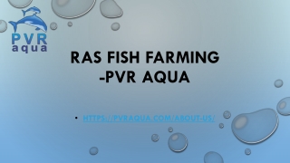 RAS Fish Farming -PVR AQUA