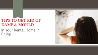Tricks To Get Rid Of Damp & Mould In Your Rental Home in Phillip