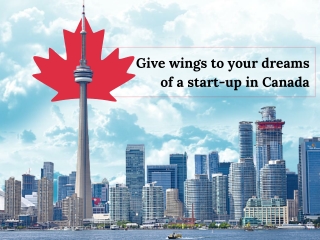 Give wings to your dreams of a start-up in Canada