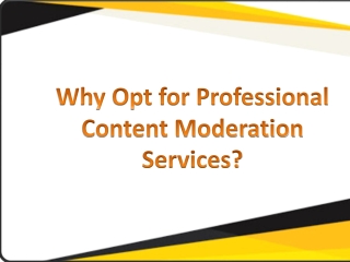 Why Opt For Professional Content Moderation Services With Damco Solutions