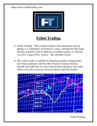 Feibel Trading