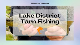 Know about Lake District Tarn Fishing | Fishing Spots in the UK