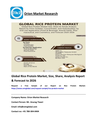 Global Rice Protein Market Size, Share & Forecast To 2020-2026