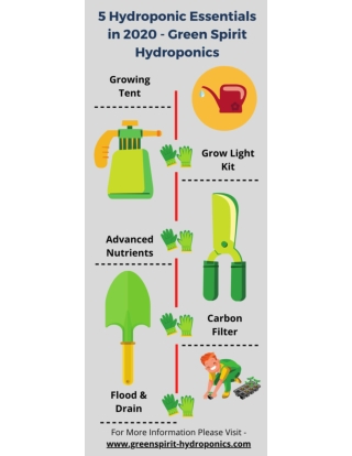 5 Hydroponic Essentials in 2020 - Green Spirit Hydroponics