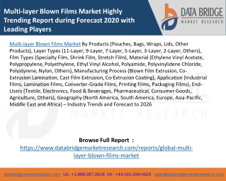 Multi-layer Blown Films Market Highly Trending Report during Forecast 2020 with Leading Players