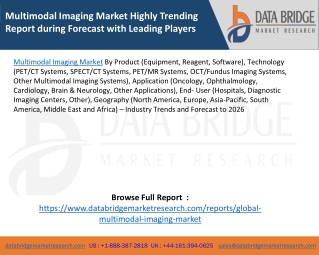 Multimodal Imaging Market Highly Trending Report during Forecast with Leading Players