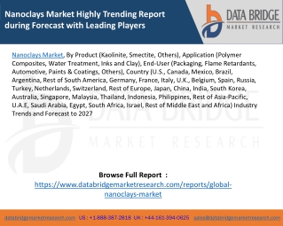 Nanoclays Market Highly Trending Report during Forecast with Leading Players