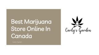 Best Marijuana Store Online In Canada - Carly’s Garden