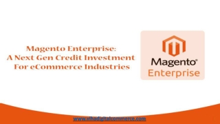 Magento Enterprise: A Next Gen Credit Investment For eCommerce Industries