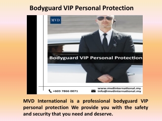 Bodyguard VIP Personal Protection