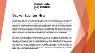 Dackel Züchter Nrw