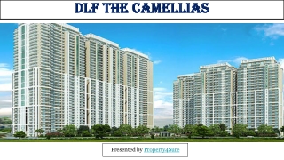 4 BHK Apartments for Rent in Gurgaon - Dlf The Camellias