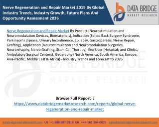 Nerve Regeneration and Repair Market 2019 By Global Industry Trends, Industry Growth, Future Plans And Opportunity Asses