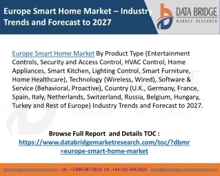 Europe Smart Home Market Business Development Strategies and Future Prospects