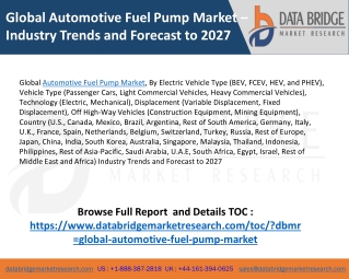 Global Automotive Fuel Pump Market Business Challenges and Financial overview