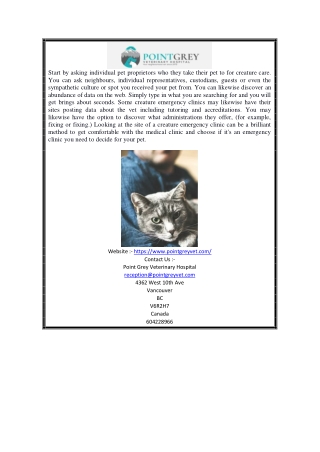 Online Vancouver Animal Emergency | Point Grey Veterinary Hospital Vancouver