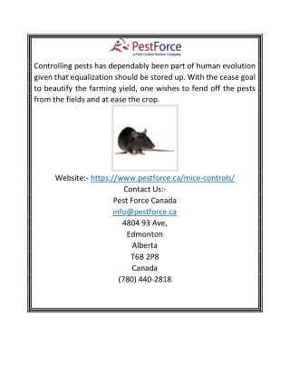 Mice Control Edmonton | Pestforce.ca