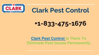 Clark Pest Control