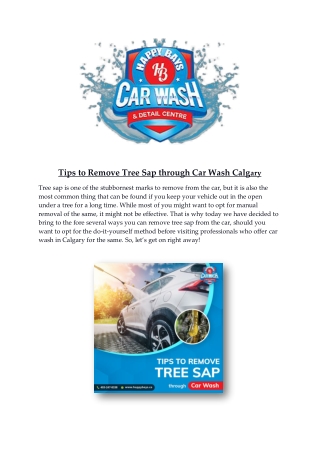 Tips to Remove Tree Sap through Car Wash Calgary