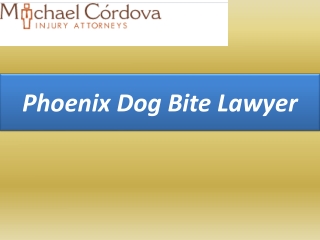 Phoenix Dog Bite Lawyer