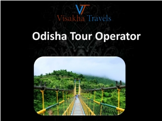 Visit to Odisha with a Local Tour Operator – Book Now