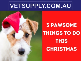 Top 3 Pet-Friendly Pawsome Things To Do This Christmas | Vetsupply