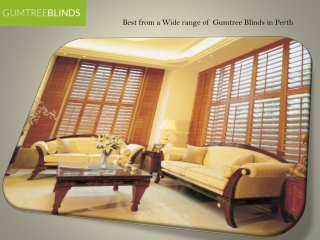 Best from a Wide range of Gumtree Blinds in Perth