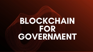 Blockchain for goverment,