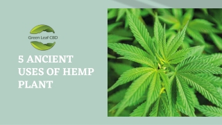 Top 5 Ancient Use of Hemp | CBD Oil for Inflammation