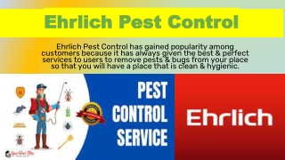 Contact Ehrlich Pest Control for effective services