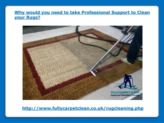 Why would you need to take Professional Support to Clean your Rugs