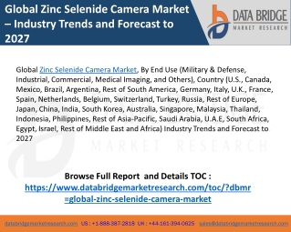 Global Zinc Selenide Camera Market Analysis, Key Trends, Challenges and Standardization And Competitive Outlook