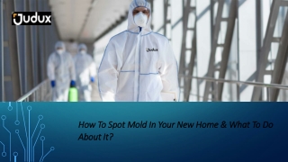 How To Spot Mold In Your New Home & What To Do About It?