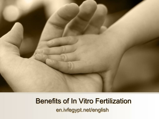 Benefits of In Vitro Fertilization