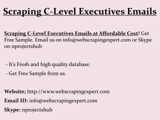 Scraping C-Level Executives Emails