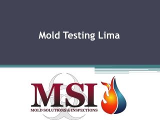 Mold Testing Lima