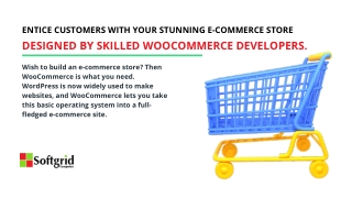 Entice customers with your stunning e-commerce store designed by skilled WooCommerce developers.